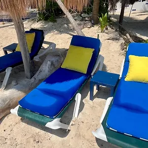 beachfront-hammock-heaven.allrivieramayahotels.com/